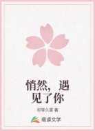 悄然,遇见了你