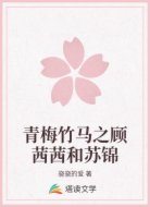 青梅竹马之顾茜茜和苏锦