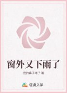 窗外又下雨了