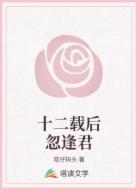十二载后忽逢君