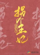 拐个王妃来护夫