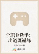 全职业选手：出道既巅峰