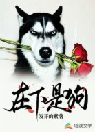 在下是狗