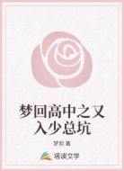 梦回高中之又入少总坑