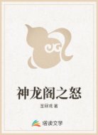 神龙阁之怒