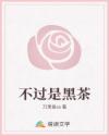 不過(guò)是黑茶