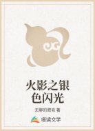 火影之银色闪光