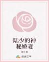 陸少的神秘嬌妻
