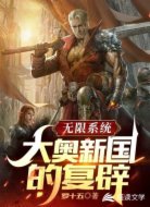 无限系统：大奥新国的复辟