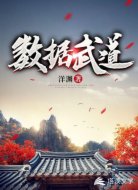 数据武道