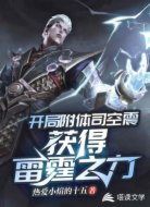 开局附体司空震,获得雷霆之力