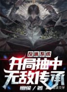 反派系统：开局抽中无敌传承