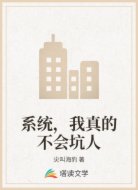 系统，我真的不会坑人