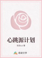 心跳源计划