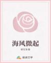 海風(fēng)微起