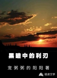 黑暗中的利刃