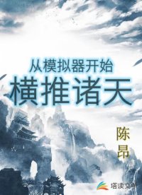 书名