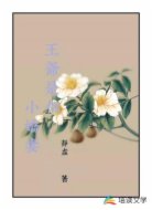 王爷是个小娇妻