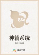 神辅系统