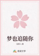 梦也追随你