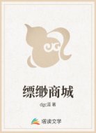 缥缈商城