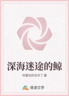 深海迷途的鲸
