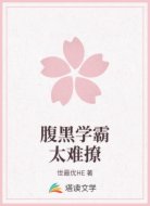 腹黑学霸太难撩