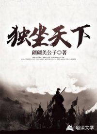 独坐天下