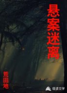 悬案迷离