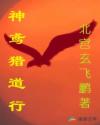 神鳶獵道行