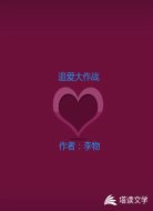 追爱大作战