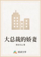 大总裁的娇妻