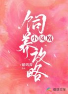 小凤凰饲养攻略