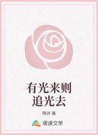 有光来则追光去