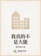 我真的不是大能