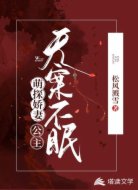 萌探娇妻:公主无案不眠