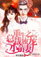 重生之总裁独宠小萌妻