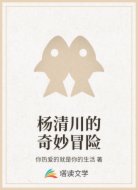 杨清川的奇妙冒险