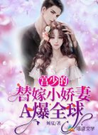 宫少的替嫁小娇妻A爆全球