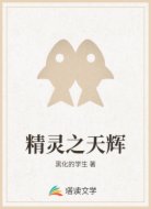 精灵之天辉