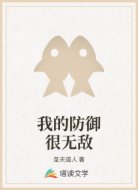 我的防御很无敌