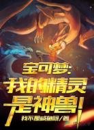 宝可梦:我的精灵是神兽!