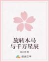 旋轉(zhuǎn)木馬與千萬星辰
