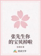 张先生你的宝贝掉啦
