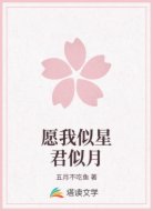 愿我似星君似月