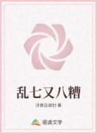 乱七又八糟