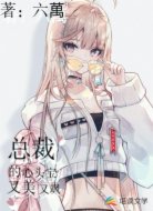 总裁的心头宝又美又飒
