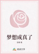 梦想成真了