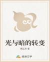 光與暗的轉(zhuǎn)變
