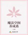 魔法空間養(yǎng)成系
